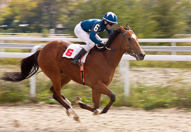 vencedor - flat racing imagens e fotografias de stock