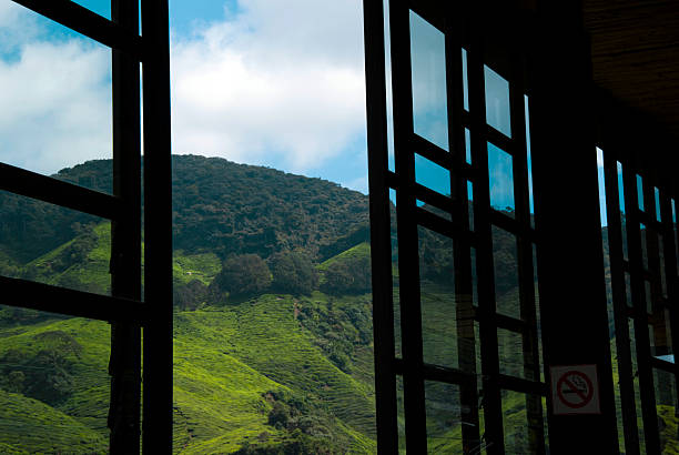 Window_green hill - Photo