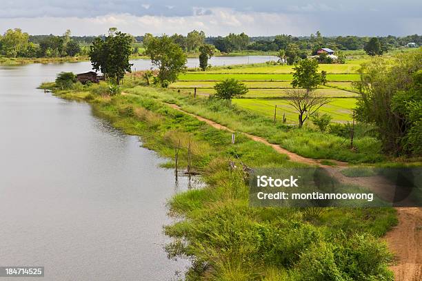 Blick Über Roadbed Basin Stockfoto und mehr Bilder von Abenteuer - Abenteuer, Ansicht aus erhöhter Perspektive, Baum