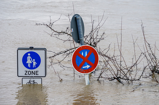Traffic signs stick out of the water, Rhine, Cologne