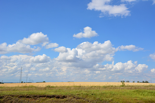 agricultural field in sunny day with blue sky and clouds wallpaper