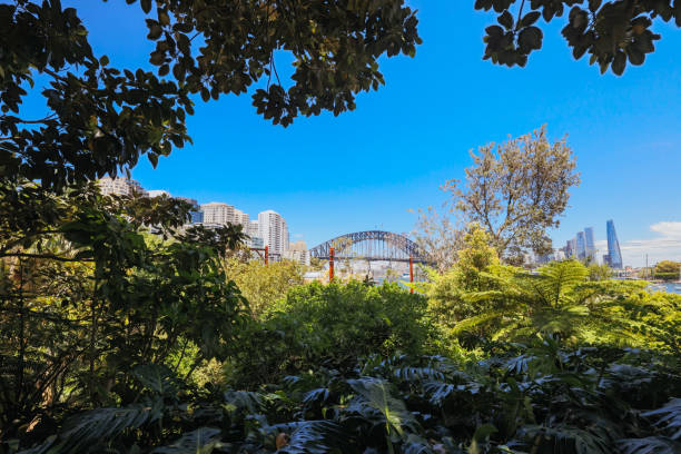 istock Wendy Whiteley's Secret Garden in Australia 1847181421