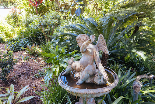 Wendy Whiteley's Secret Garden on a warm summer's morning in Lavender Bay, Sydney, New South Wales, Australia