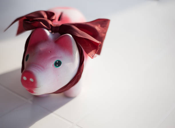 istock Piggy Bank With Lace 184720175