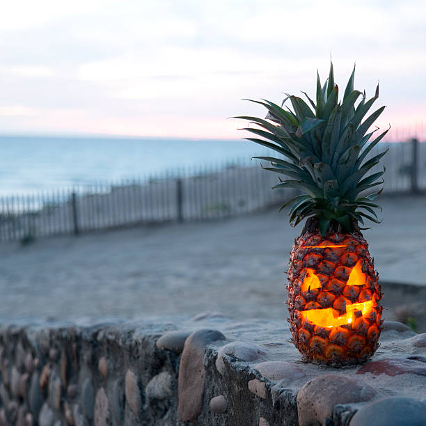 halloween na plaży - smiling single object photography orange zdjęcia i obrazy z banku zdjęć