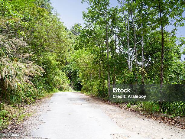 Foto de Paisagem e mais fotos de stock de Cascata - Cascata, Escorrer, Exterior