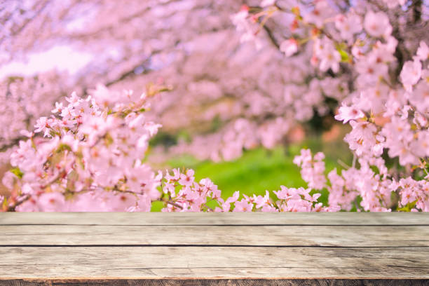 istock wooden table with pink flowers background 1847244074