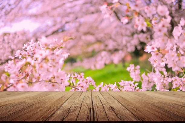 istock wooden table with pink flowers background 1847244075