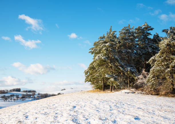 istock Snowy countryside and forest in winter 1847252505