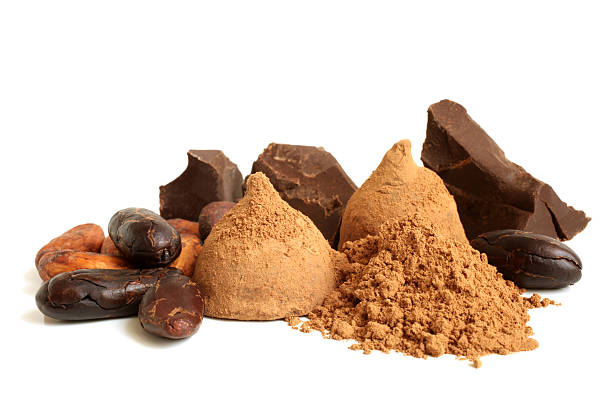 istock Cacao beans, chocolate, powder and sweets 184725692