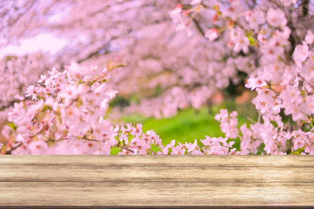 istock wooden table with pink flowers background 1847269921