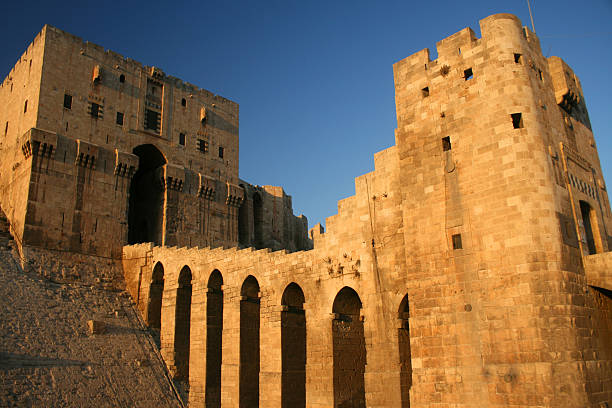 View of the Citadel of Aleppo, Syria