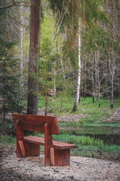 istock Wooden bench at a small pond somewhere in a german forest 1847293147