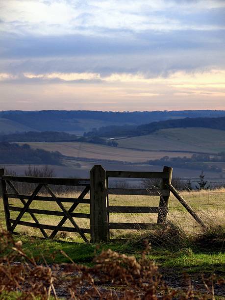 istock An open farm gate with the south downs in view 184729976