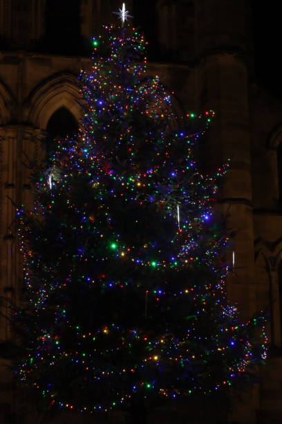 istock Large outdoor Christmas tree covered in multi coloured lights 1847301836