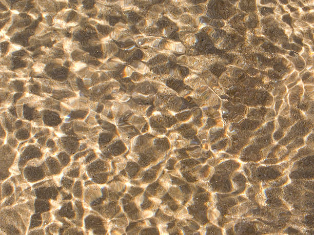 istock shallow water at the beach with leopard spots efects 184730947