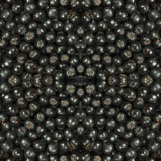 istock Plants. Seamless pattern. Ornament. Background of black chokeberry berries. Seamless pattern collage for cotton fabric. For web design. Print for wallpaper, T-shirts, linens or wrapping, textile 1847323593