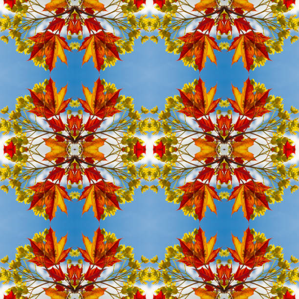 Plants. Seamless pattern. Red maple leaves against the blue spring sky. Seamless pattern collage for cotton fabric. For web design. Print for wallpaper, T-shirts, linens or wrapping, textile.