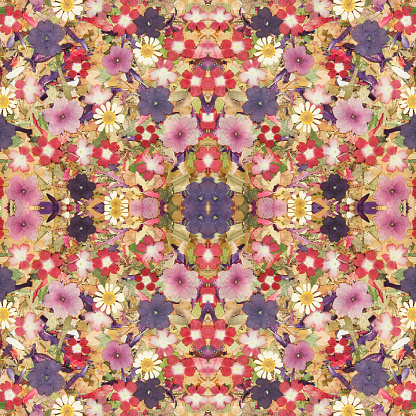Flower. Seamless pattern. Ornament. Collage, ornament from flowers. Seamless pattern collage for cotton fabric. For web design. Print for wallpaper, T-shirts, linens or wrapping, textile.