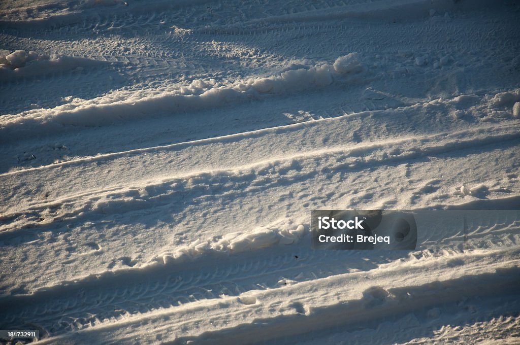 Winter-Fußabdruck - Lizenzfrei Baum Stock-Foto