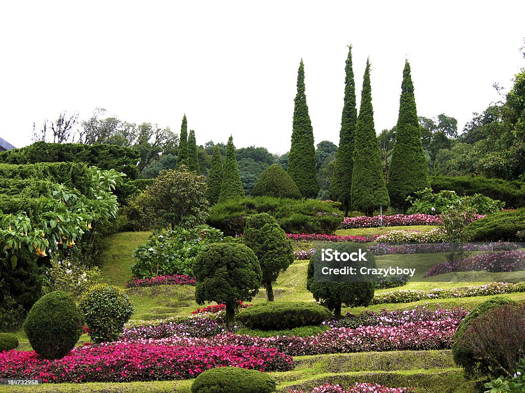 Parco di fiori sulla collina - Foto stock royalty-free di Aiuola