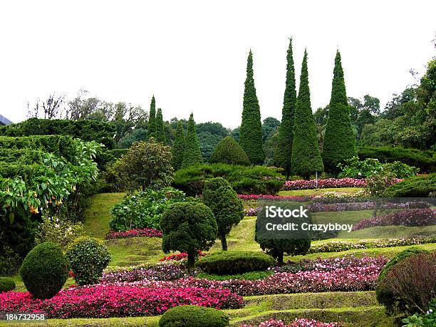 Parco Di Fiori Sulla Collina - Fotografie stock e altre immagini di Aiuola - Aiuola, Albero, Bosco