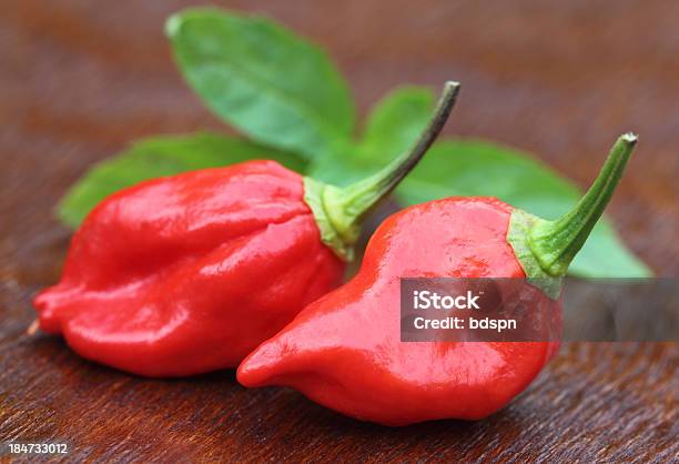 Photo libre de droit de Naga Morich Du Bangladesh banque d'images et plus d'images libres de droit de Bhut Jolokia - Bhut Jolokia, Rivière Naga, Piment fort