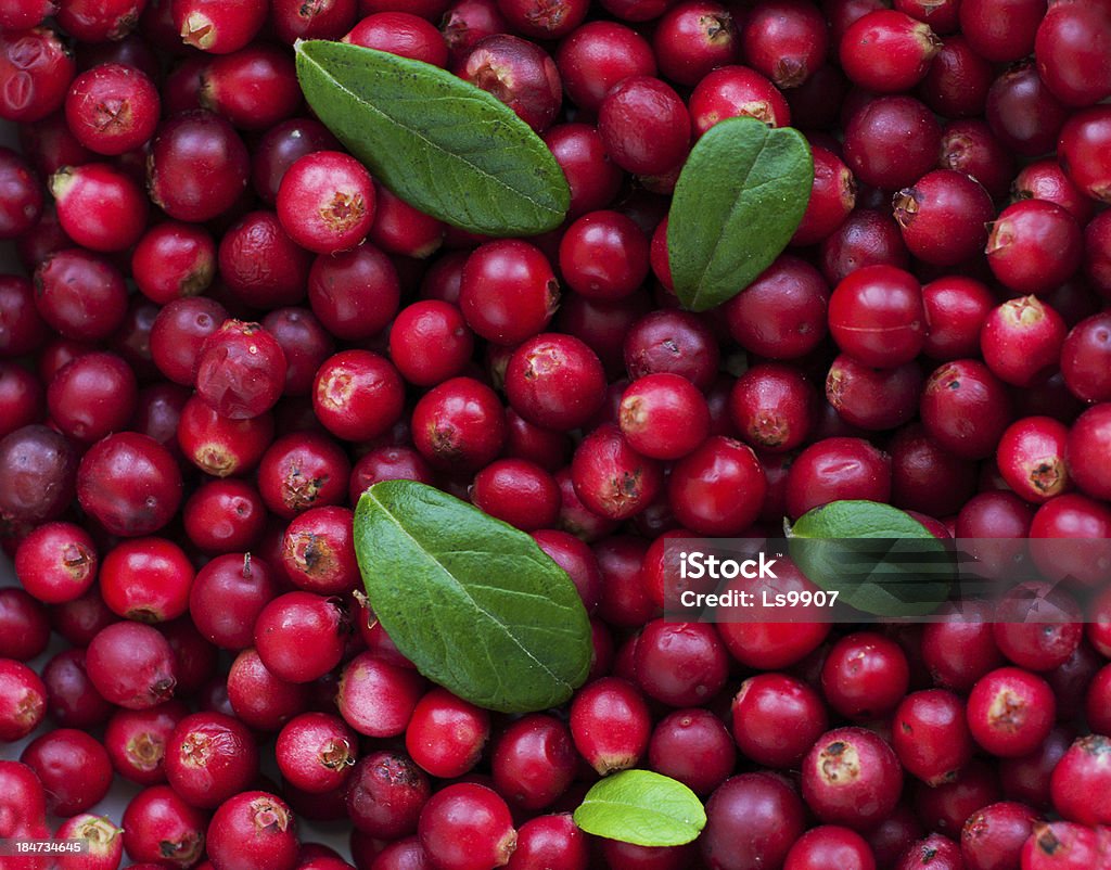 Background of Cranberry Ripe red wild cranberries - nature background Abundance Stock Photo
