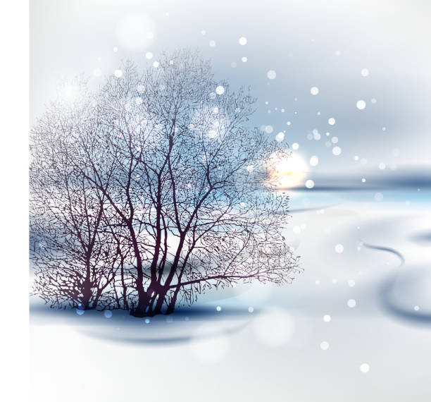 zima - bare tree winter sunlight backgrounds stock illustrations