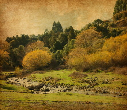 vintage image of  autumn landscape.   Te Urewera National Park, North Island, New Zealand.  Added  paper texture.