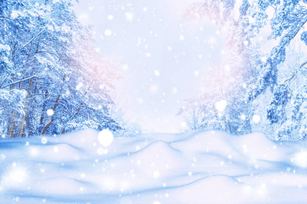 istock Landscape. Frozen winter forest with snow covered trees. 1847359238