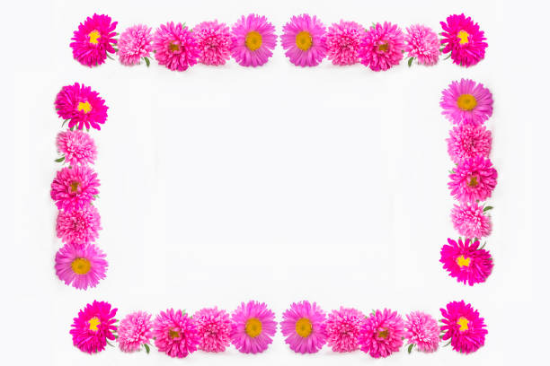 heart shape with flower and floral leaves foliage ornament vector