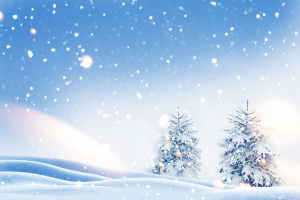 istock Landscape. Frozen winter forest with snow covered trees. 1847360942