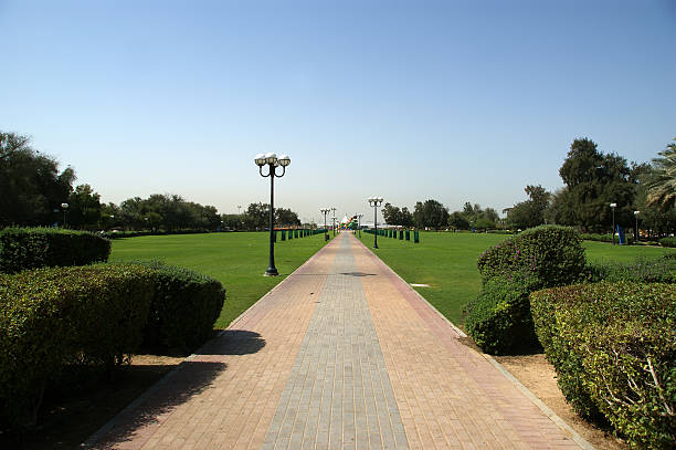 istock View of beautiful park in Dubai, UAE 184736186