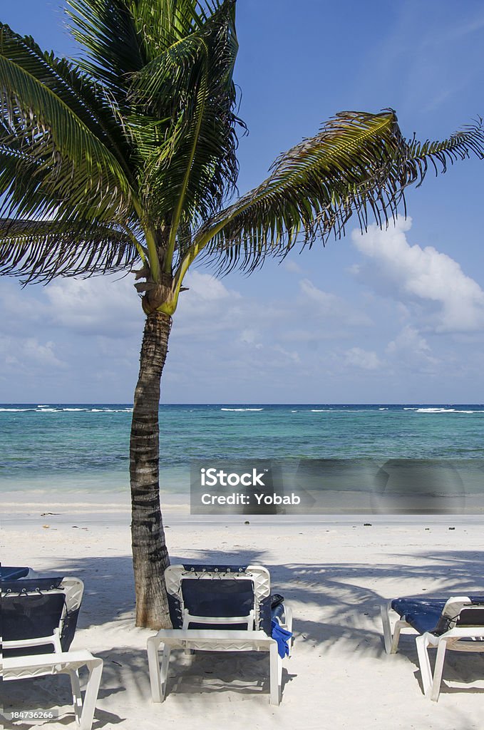 Karibik-Strand - Lizenzfrei Blau Stock-Foto