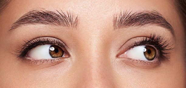 istock Beautiful female eyes with long eyelashes 1847371106