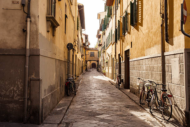 istock Alley in Florence 184737556