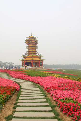 six harmonies pagoda flowers in clusters