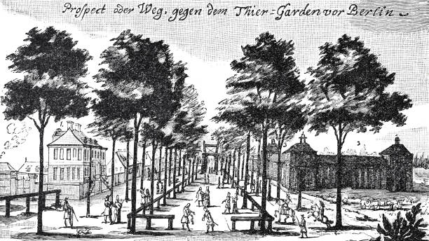 베를린, 운터 덴 린덴, 1691 - road boulevard tree street stock illustrations