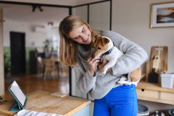 istock Woman having fun with her dog in the kitchen 1847398929