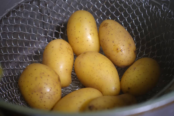 istock Steamed potatoes in a casserole dish 1847399255