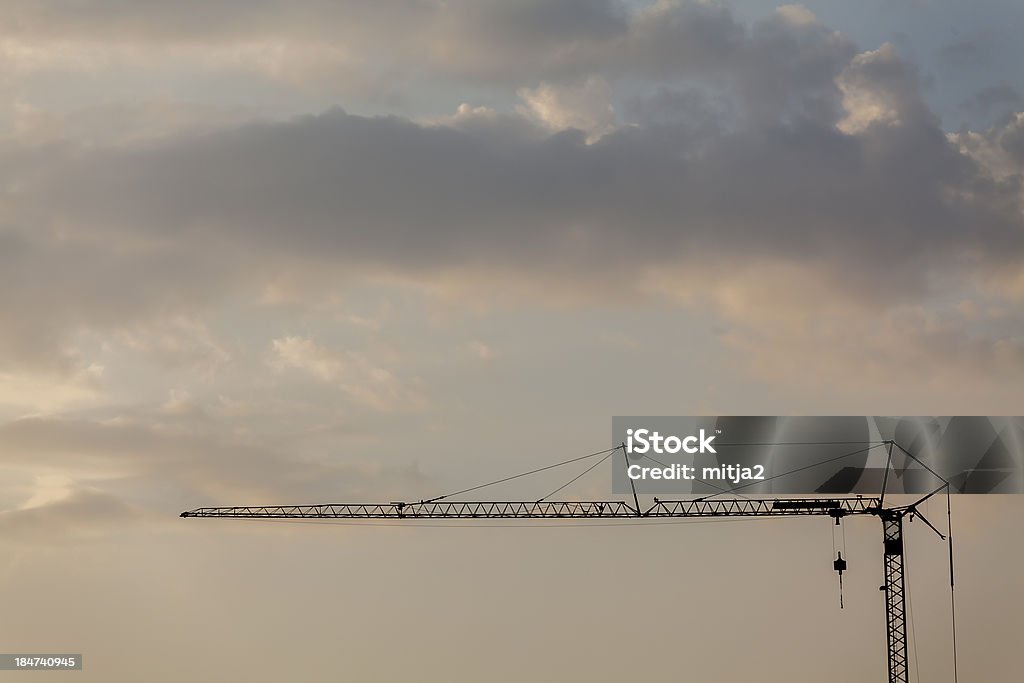 Crane - Photo de Activité libre de droits