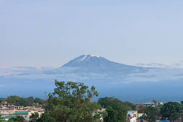 istock Mount Kilimanjaro at dawn with skuline before 184742016