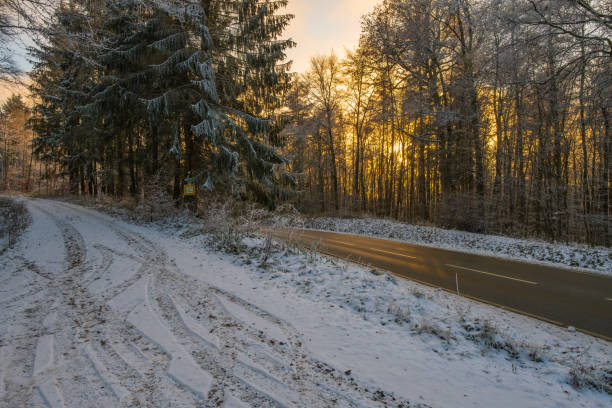 istock Winter in the Taunus 1847422541