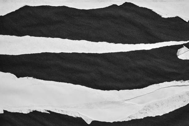 istock Black and White Torn Paper Collage Style, Ripped Paper Effect, Texture Abstract Background, Copy Space for Text. 1847429400