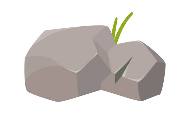 ilustraciones, imágenes clip art, dibujos animados e iconos de stock de piedra de roca con hoja verde de hierba, roca agrietada de paisaje montañoso - fossil leaves