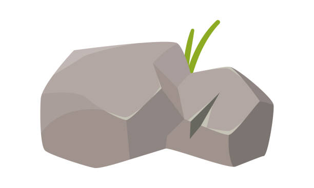 ilustrações de stock, clip art, desenhos animados e ícones de rock stone with green leaf of grass, cracked boulder of mountain landscape - fossil leaves