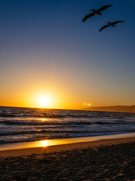 istock Sunset at Santa Monica 184743358