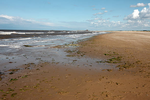 istock Titchwell beach, RSPB reserve 184747045