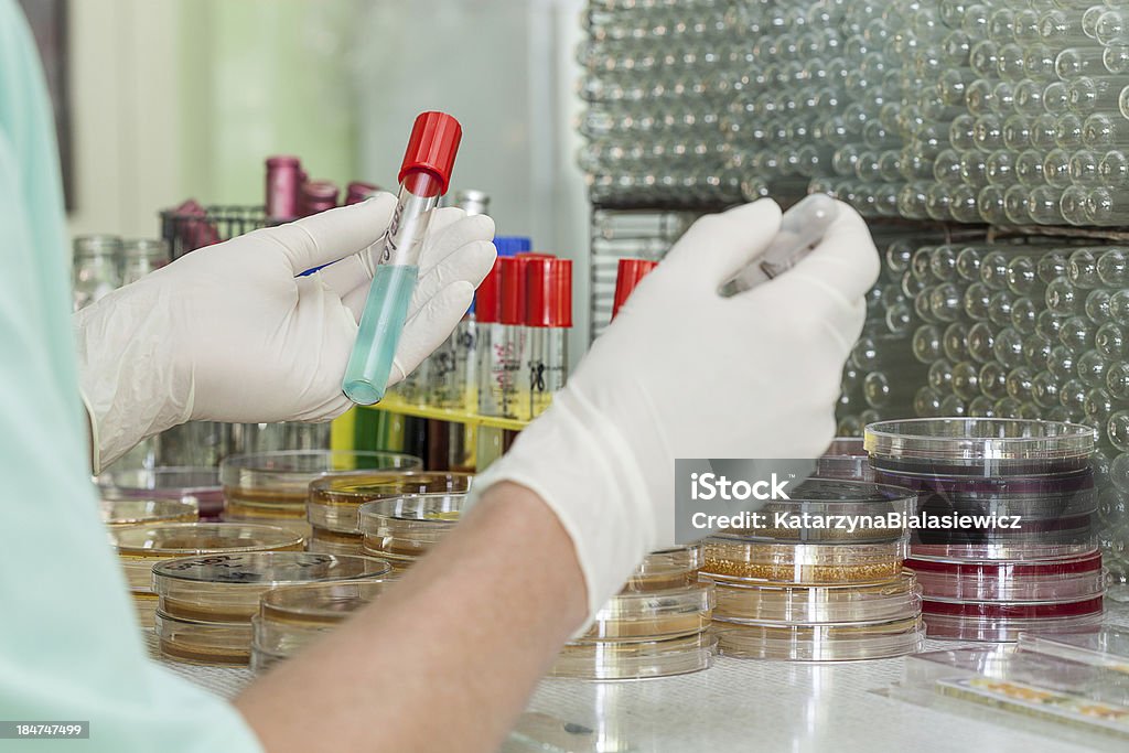 Testes de laboratório - Foto de stock de Analisar royalty-free